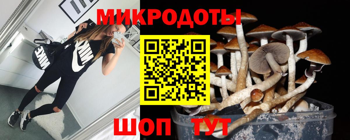 Псилоцибиновые грибы прущие грибы  Вход с VPN  Трёхгорный 